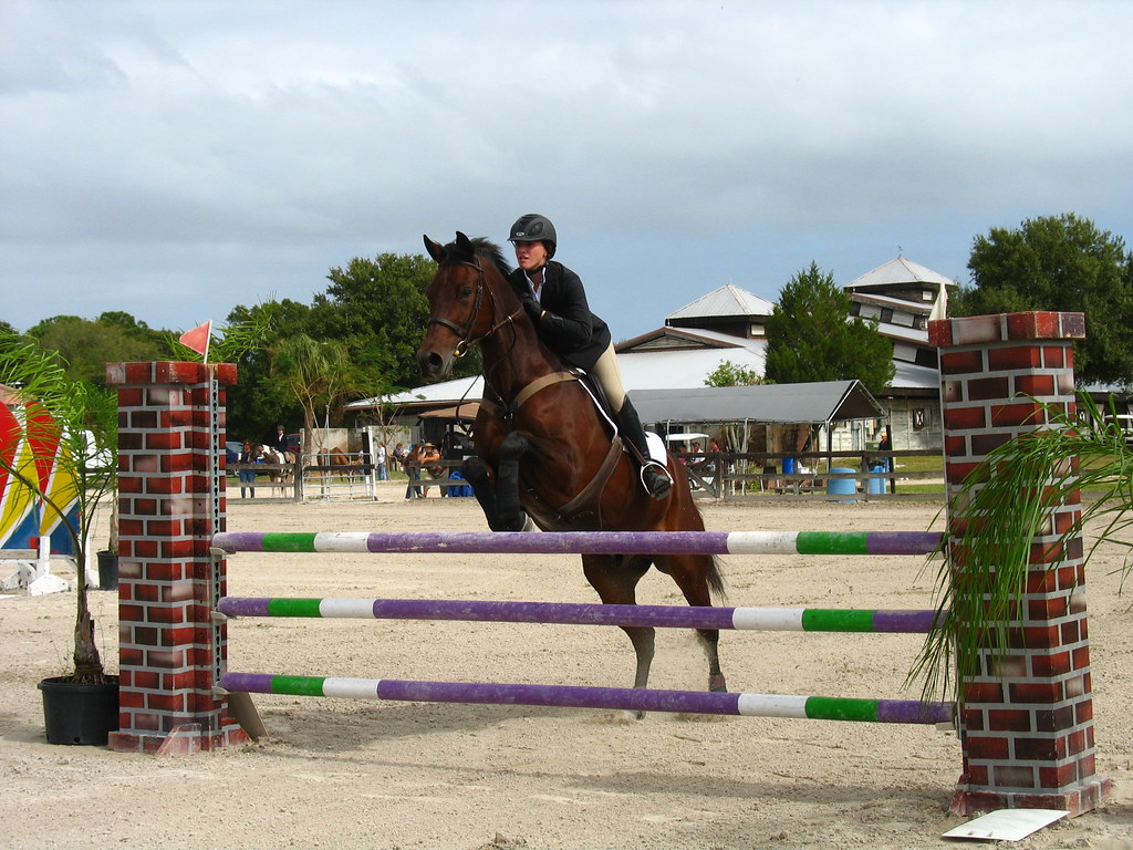 Fox Lea Farm Horse Show, Venice, Florida 11.6.2011 Flickr