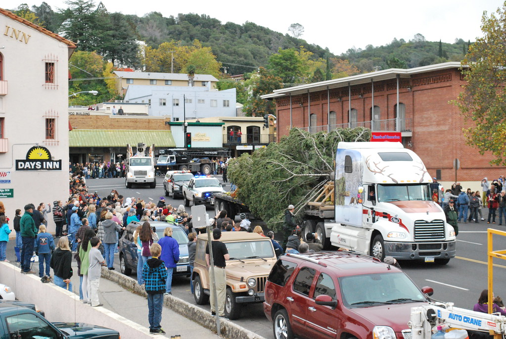 Capitol Christmas Tree in Sonora Photo of the tree making … Flickr