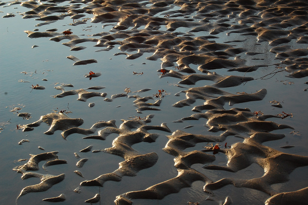 Wisconsin River Beach Abstract Mazomanie Bottoms State Nat… Flickr