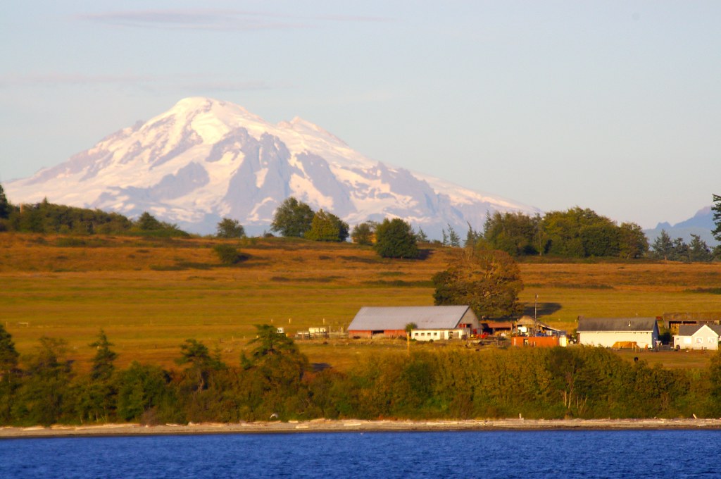 Waterfront farm with Mt. Baker looming behind Grant Eaton Flickr