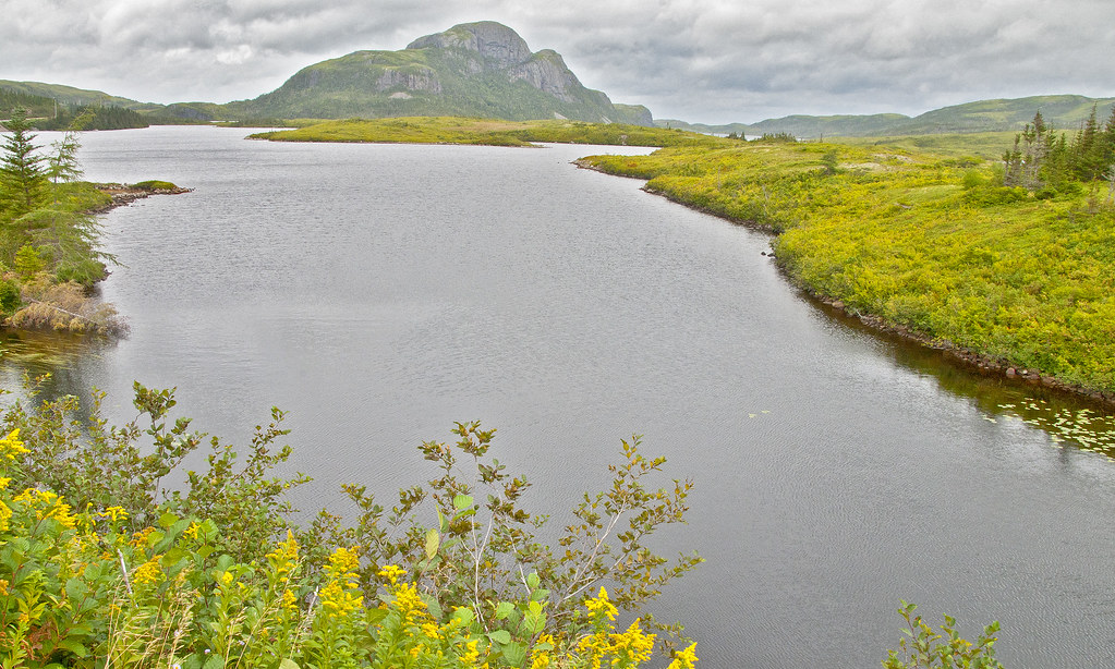 Coast of Bays, Newfoundland Raisa Mirza Flickr