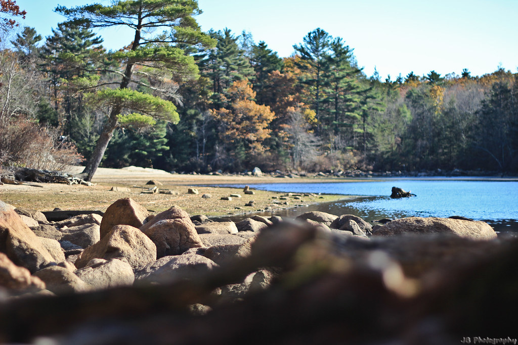 Lonely Beach Beach at Bowdish Reservoir/Lake Washington Justin Flickr