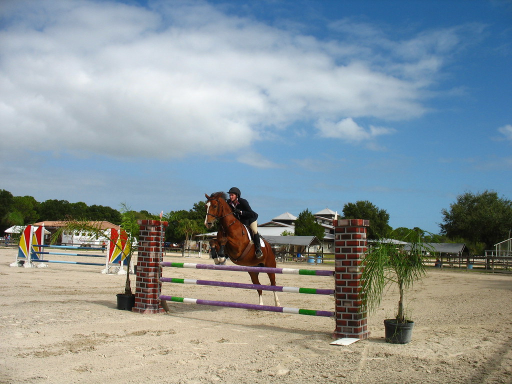 Fox Lea Farm Horse Show, Venice, Florida 11.6.2011 Flickr