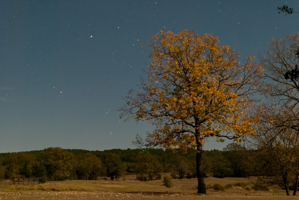 Elevation of Octavia, OK, USA Topographic Map Altitude Map