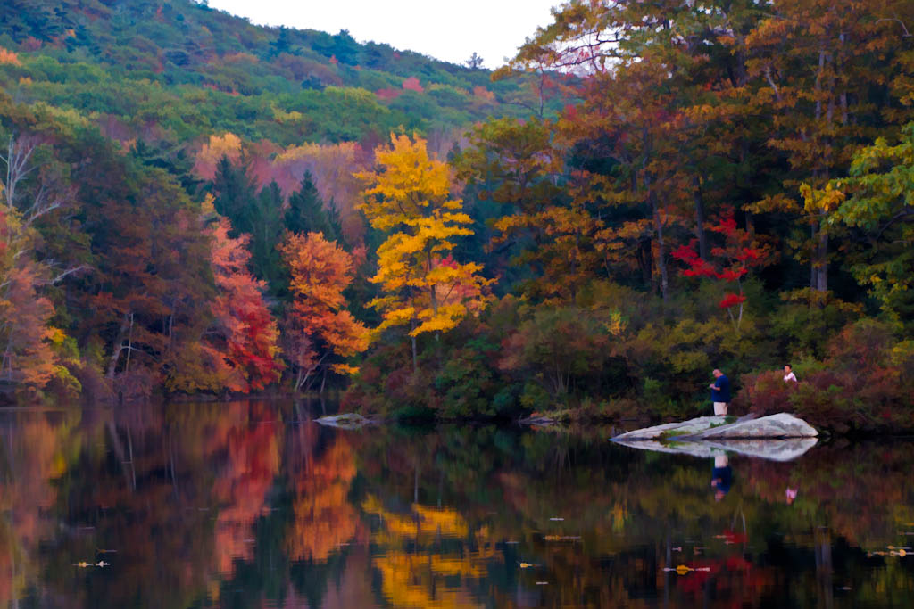 Benedict Pond Taken at Benedict Pond in Beartown Mountain … Flickr
