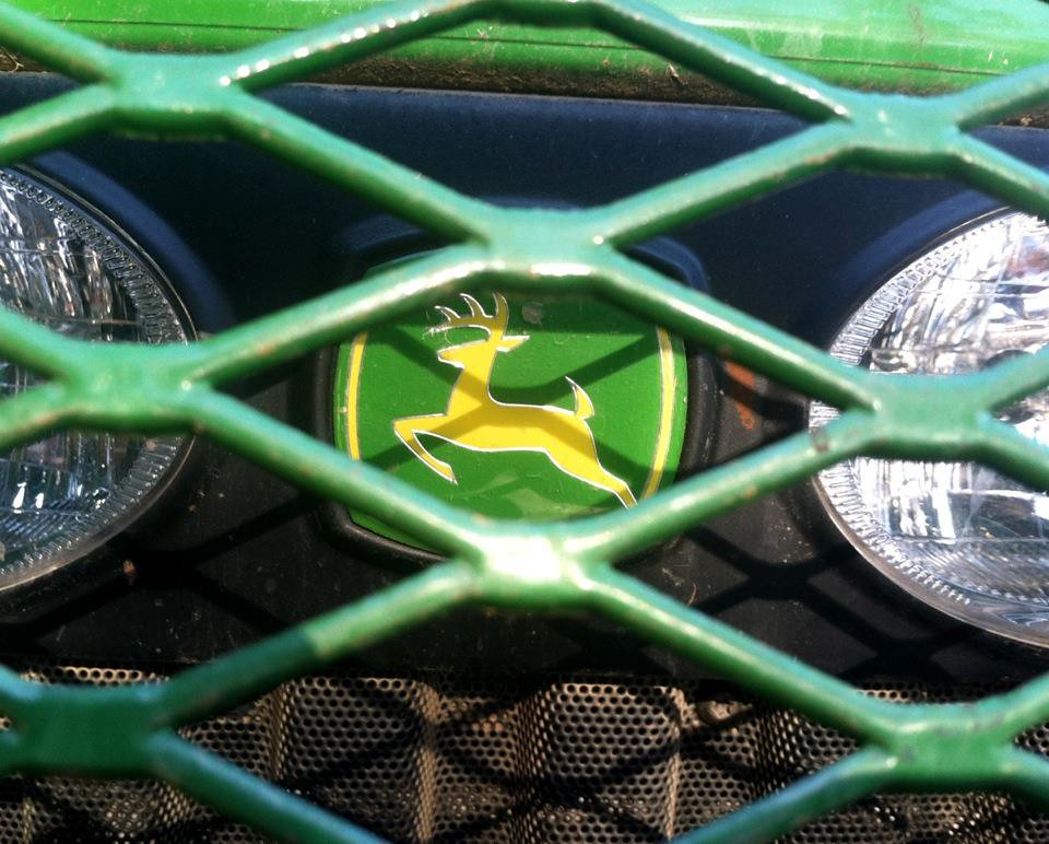 Deer in the headlights Deer in the headlights Flickr