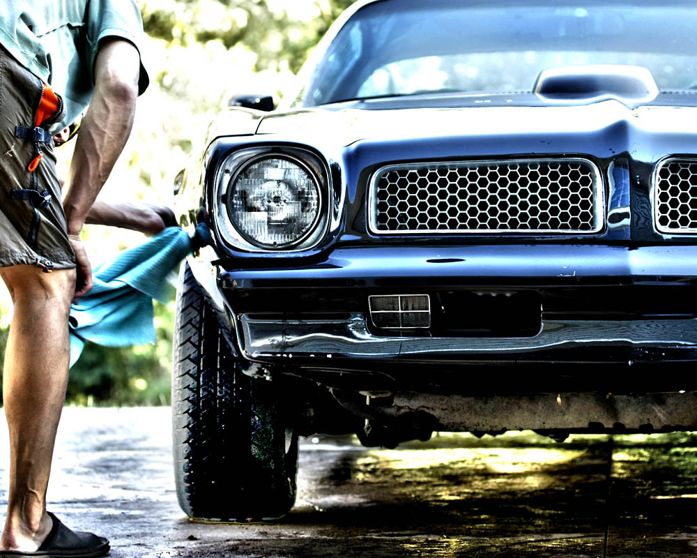 Spa Day rose fleming Flickr