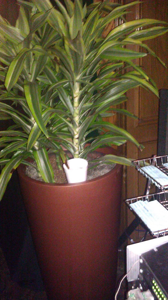 DJ Drink Holder Canute Chiverton Flickr