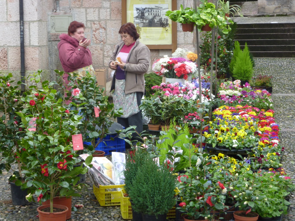 Potted plants Cangas de Onís market What is life witho… Flickr