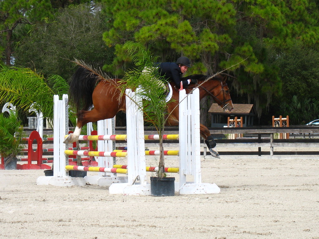 Fox Lea Farm Horse Show, Venice, Florida 11.6.2011 Flickr