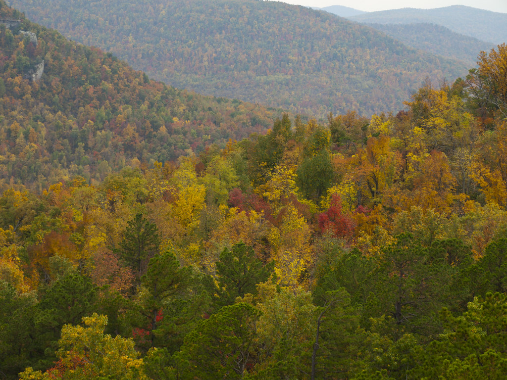Up in the Ozarks Fall colors along the rolling Ozark Mount… Flickr