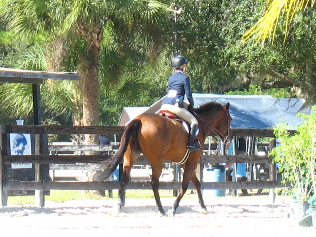 Fox Lea Farm Horse Show, Venice, Florida 11.6.2011 Flickr