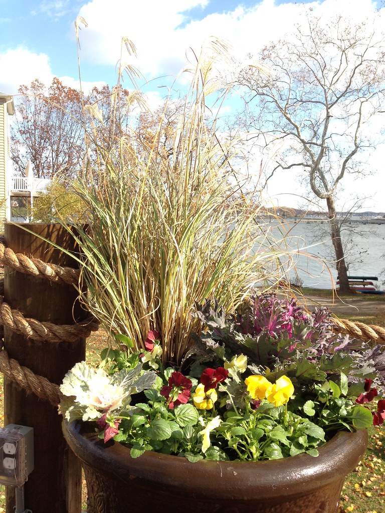 New platers Riva Cottage Flickr