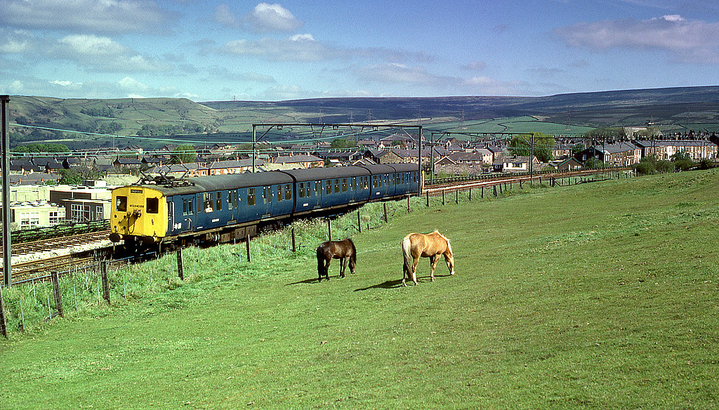 59408 departs from Hadfield for Glossop A pair of horses n… Flickr
