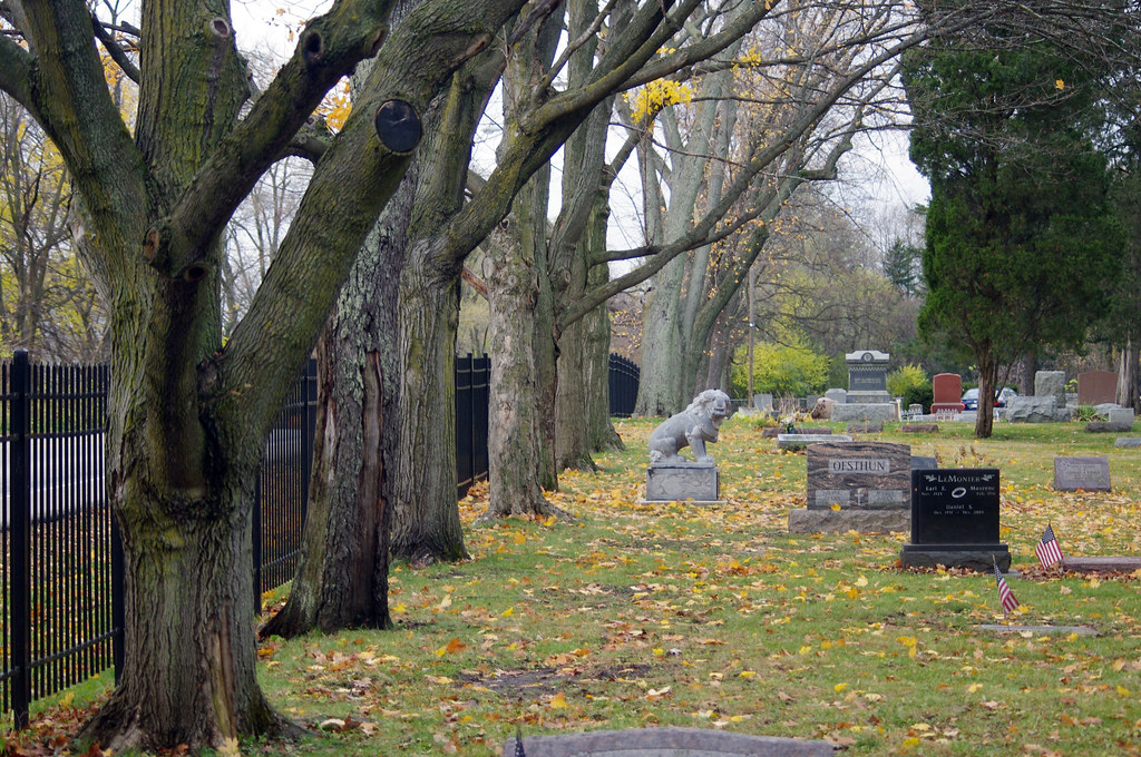 White Memorial Cemetery, Cuba Township IL White Memorial C… Flickr