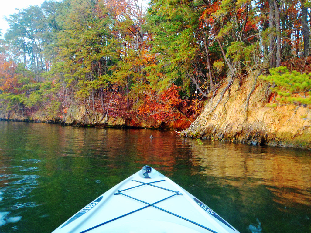 That otter tried to get in my boat! Lake Tillery, Mt Gilea… Flickr