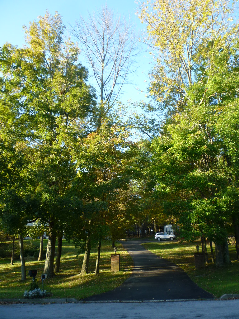 P1030480 New York Heartwoods Flickr