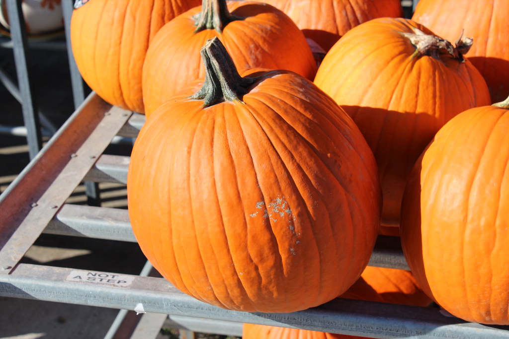 2011_10_14_0323 Pumpkins for sale at WalMart See where th… Flickr