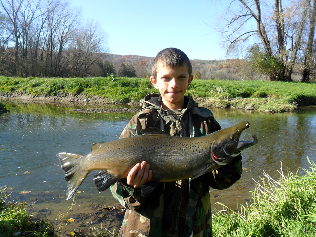 Catherine Creek Salmon Finger Lakes Outdoors Flickr