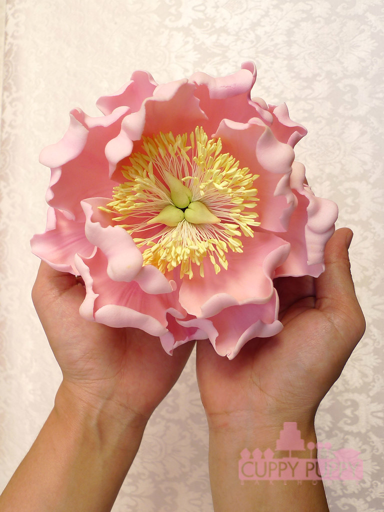 pink sugar flower trying to see if I can get a nice 'holdi… Flickr