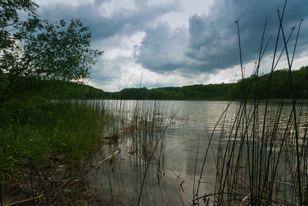 Skunk Lake Skunk & Foster Lakes Wisconsin State Natural Ar… Flickr