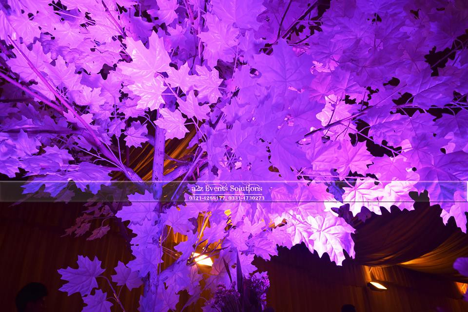 affordable weddings packages, cheapest weddings packages, … Flickr