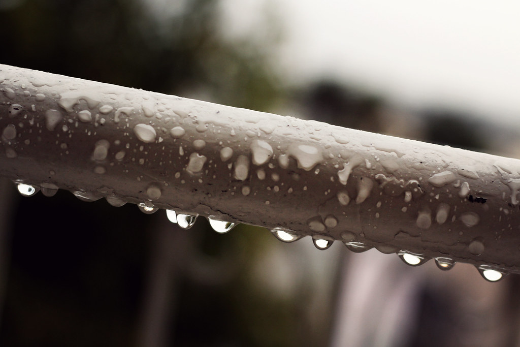 Day 324 Rainy Days It rains twice a month on average in L… Flickr