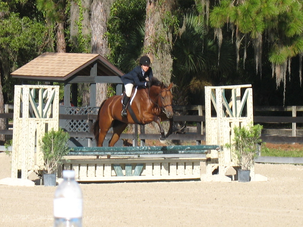 Fox Lea Farm Horse Show, Venice, Florida 11.6.2011 Flickr