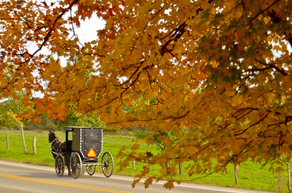 Going Home Amish Country Middlefield, Ohio nebulous 1 Flickr
