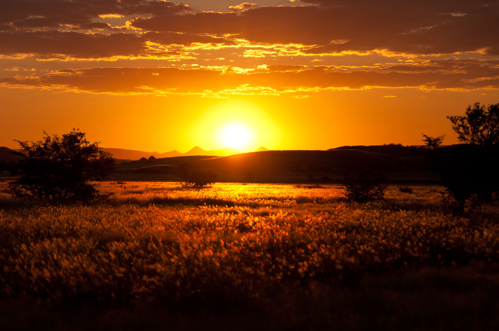 Savanah sunset Coucher de soleil sur la savane Franck