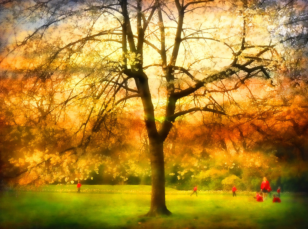 I paint my own reality I paint my own reality. The only th… Flickr