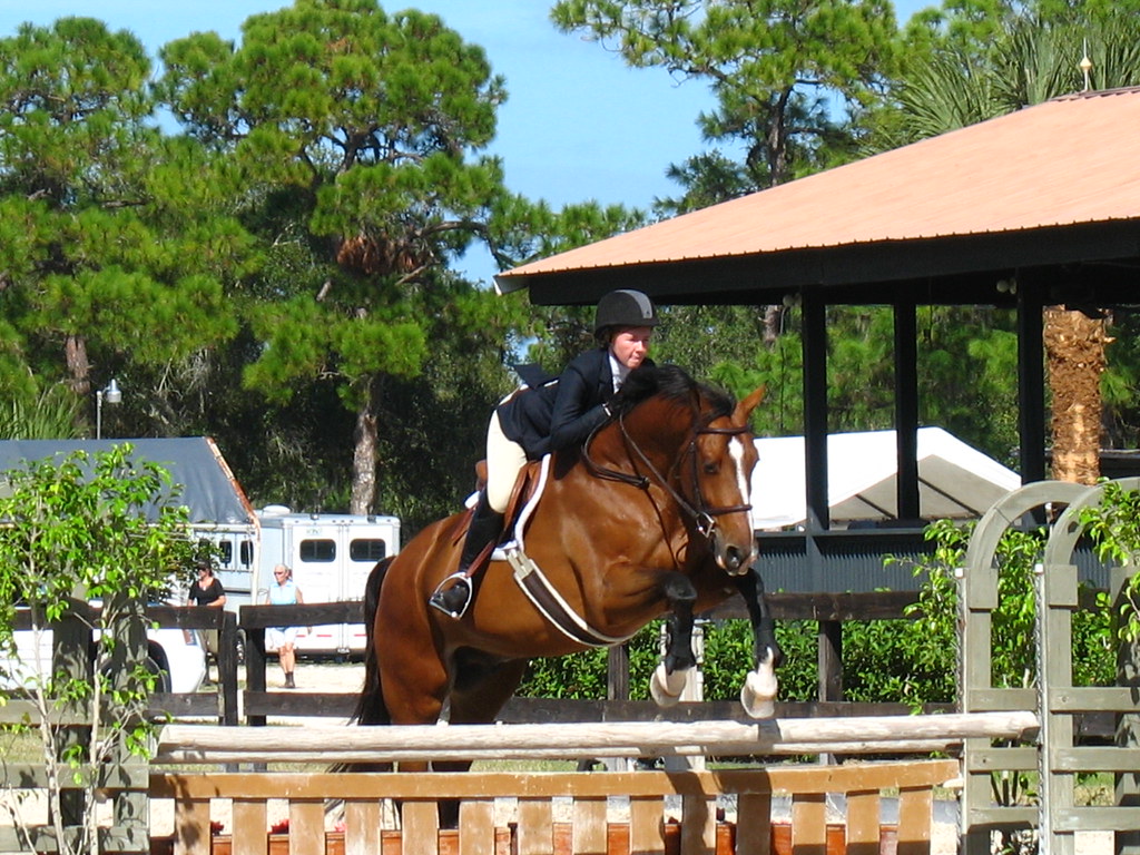 Fox Lea Farm Horse Show, Venice, Florida 11.6.2011 Flickr