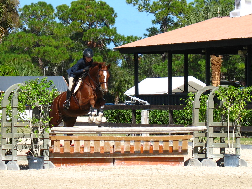 Fox Lea Farm Horse Show, Venice, Florida 11.6.2011 Flickr