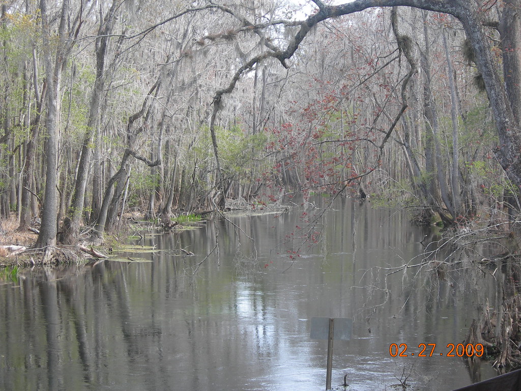 Itchetucknee River Fort White, Fl. Three Rivers Estates Flickr