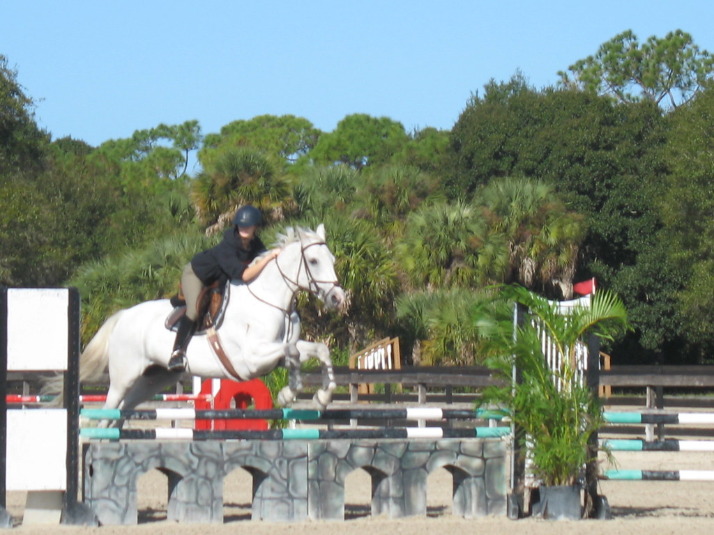 Fox Lea Farm Horse Show, Venice, Florida 11.6.2011 Flickr