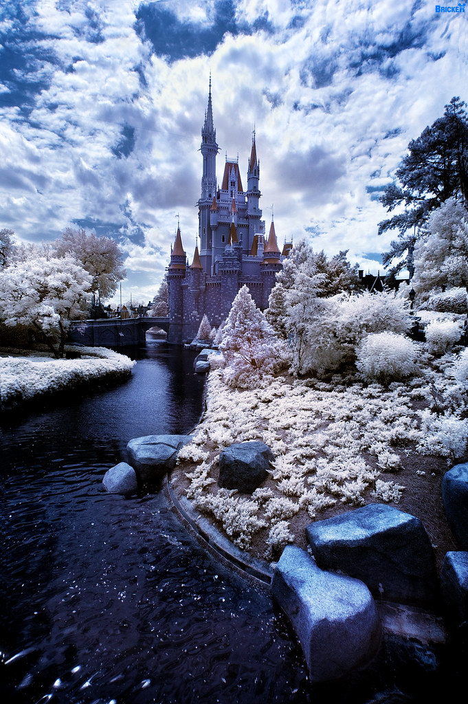 Walt Disney World Winter Wonderland? Lake Buena Vista, Flo… Flickr