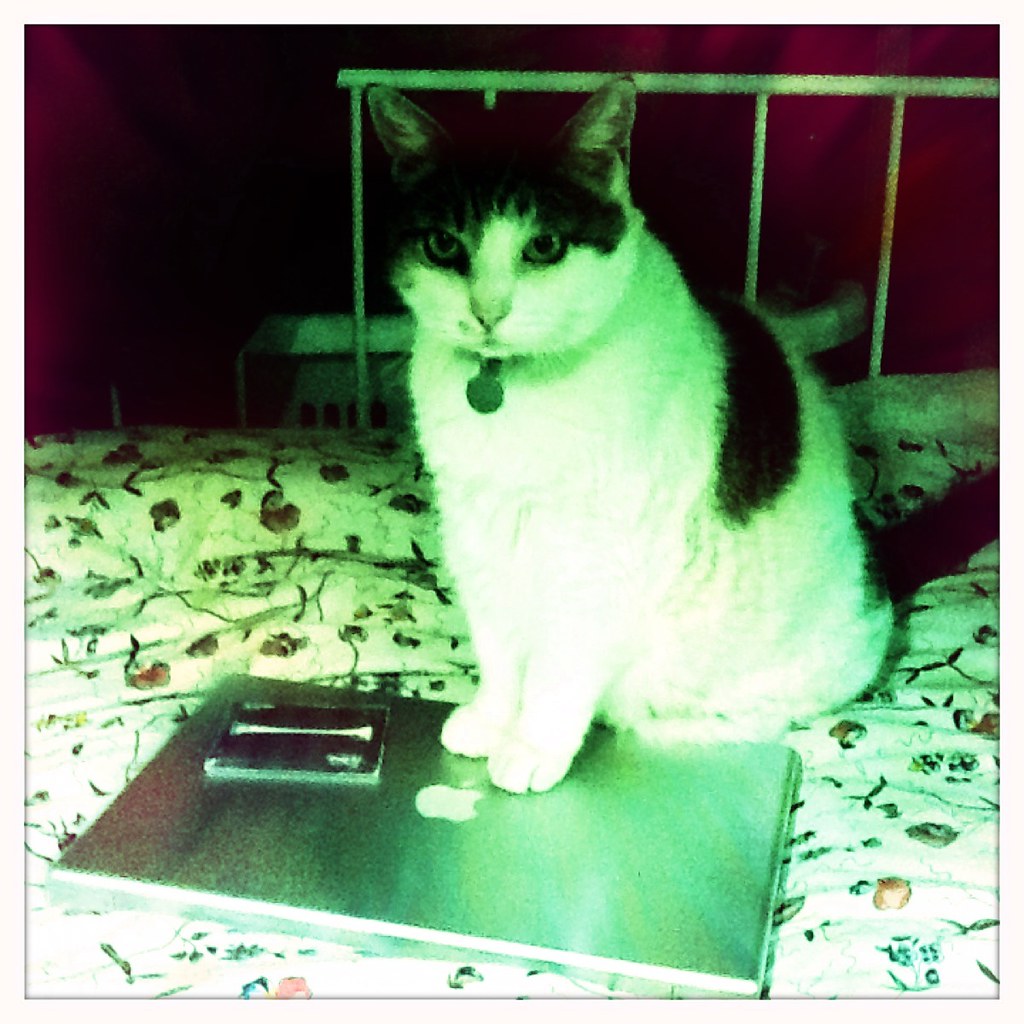 It's my computer now Alex SoojungKim Pang Flickr