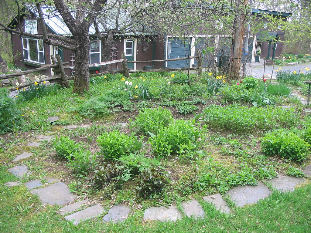 Rosemary Gladstar's Herbal Gardens, Vermont bridgetmolloy Flickr