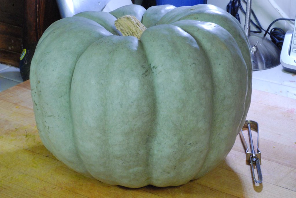 Jarrahdale winter squash just the best for making pies, no… Flickr