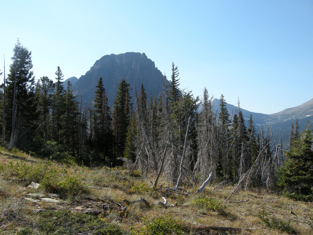 Aster Park Trail GNP Jim Morelly Flickr