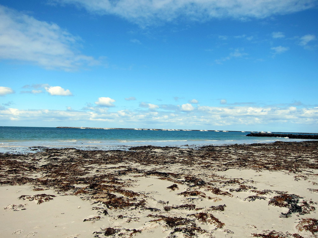 Port Macdonnell beach Port Macdonnell Saspotato Flickr