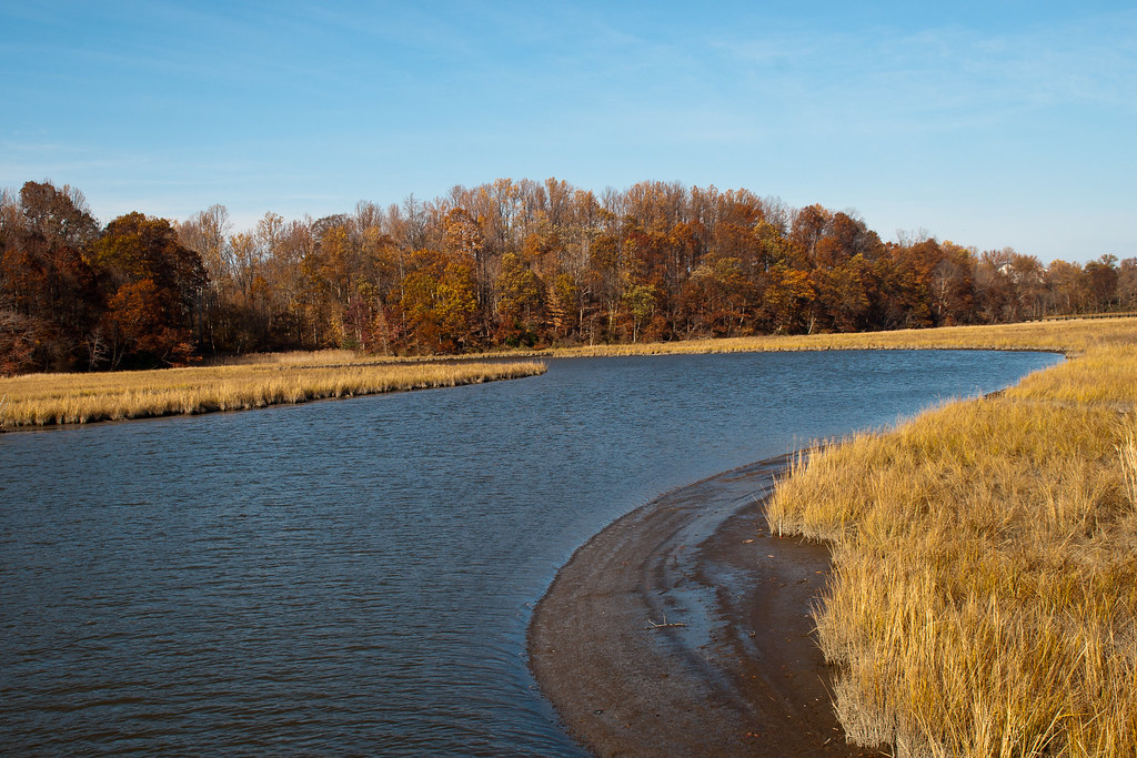 Chesapeake Beach Scenery Chesapeake Beach, MD; 14 Nov 2011… Flickr