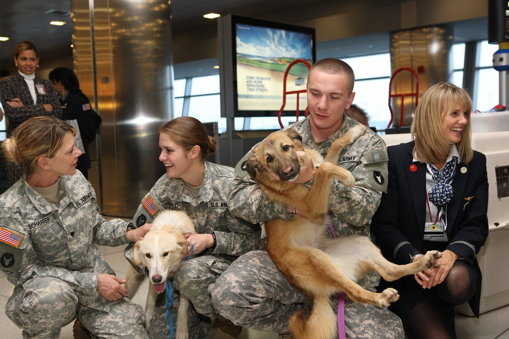 American Airlines, American Dog Resue, and PRAI Support th… Flickr