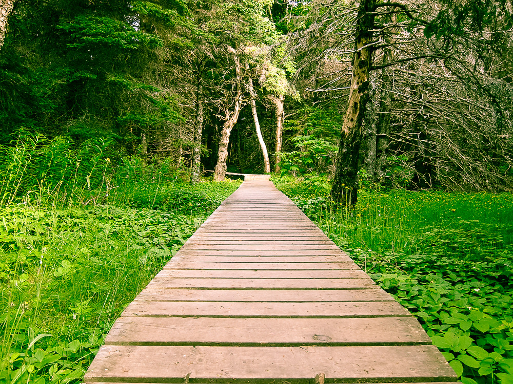 Picture 710.jpg Marc Belcourt Flickr