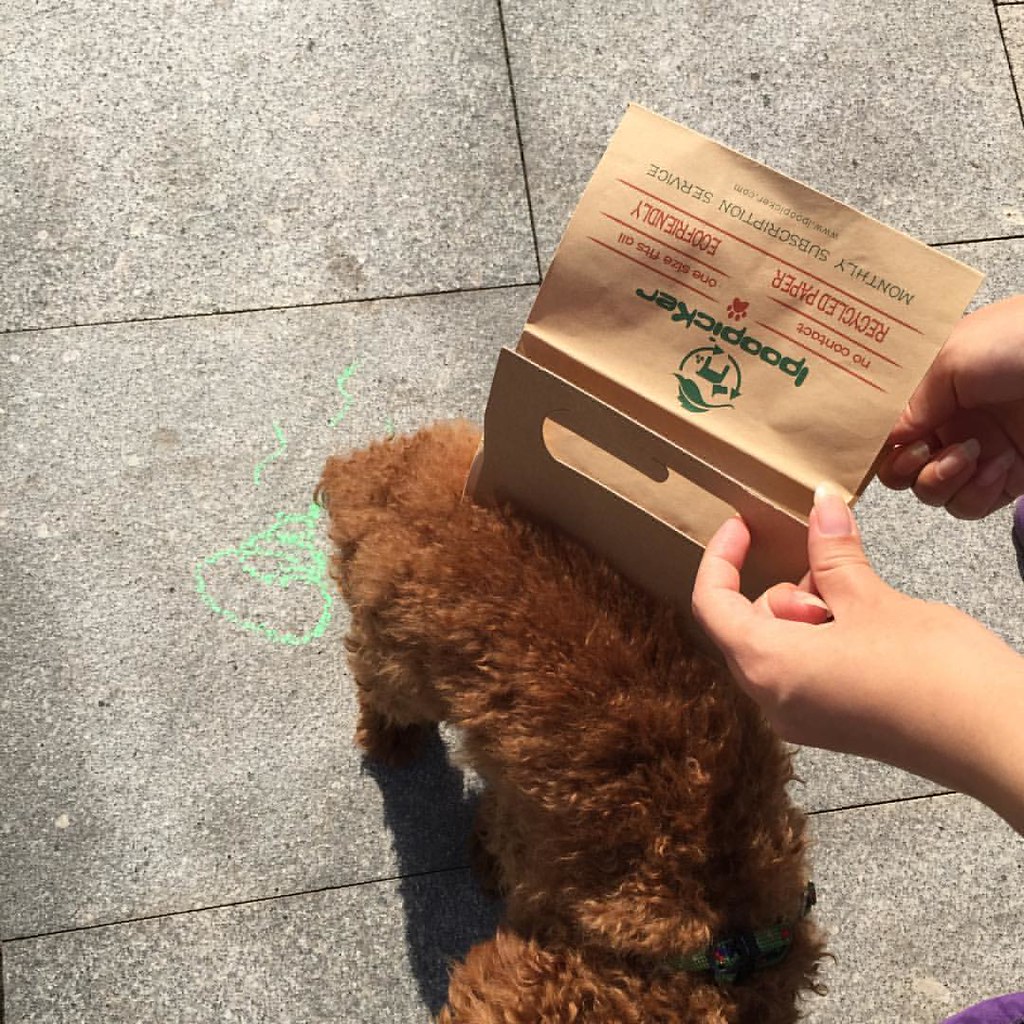 Ecopaper dog poop bag🐶💩🚽100 ♻ poodle ecofriendly … Flickr