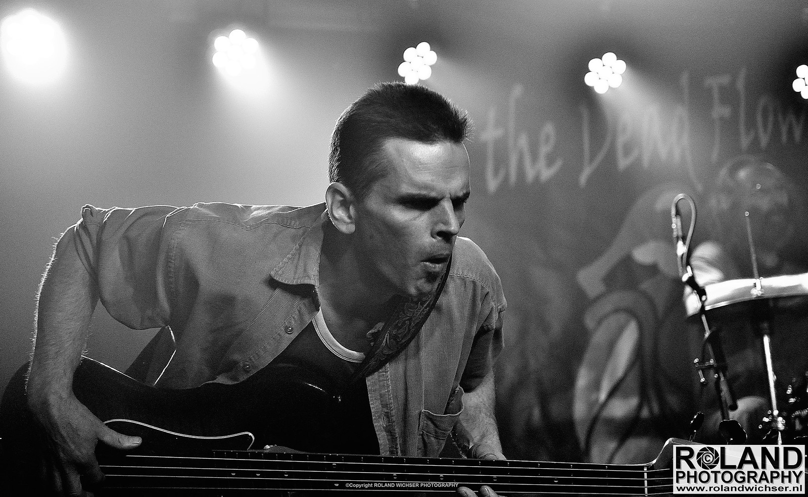 The Dead Flowers in JJ Music House Flickr