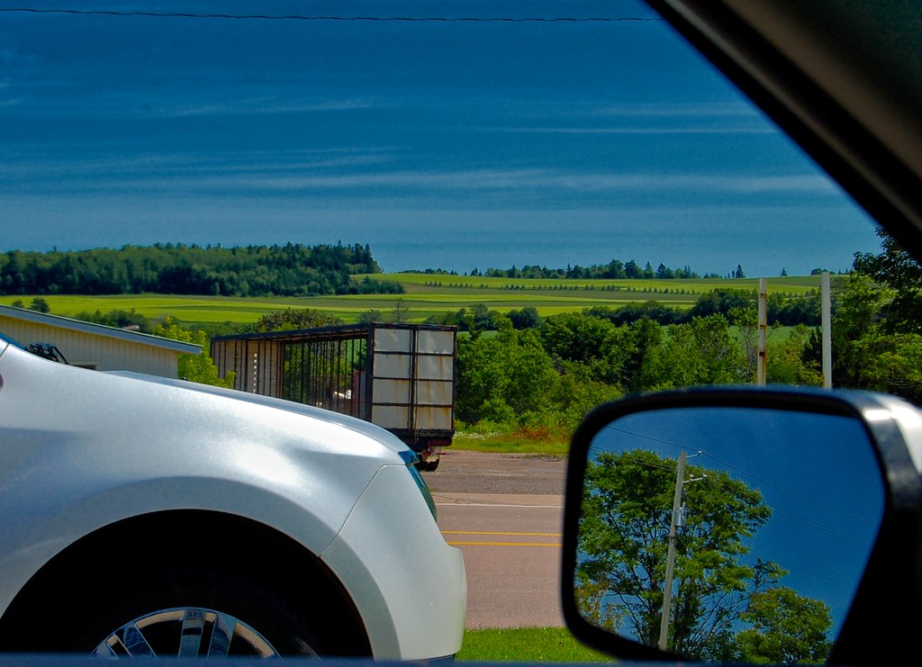 Crapaud, PEI Eddie Flickr