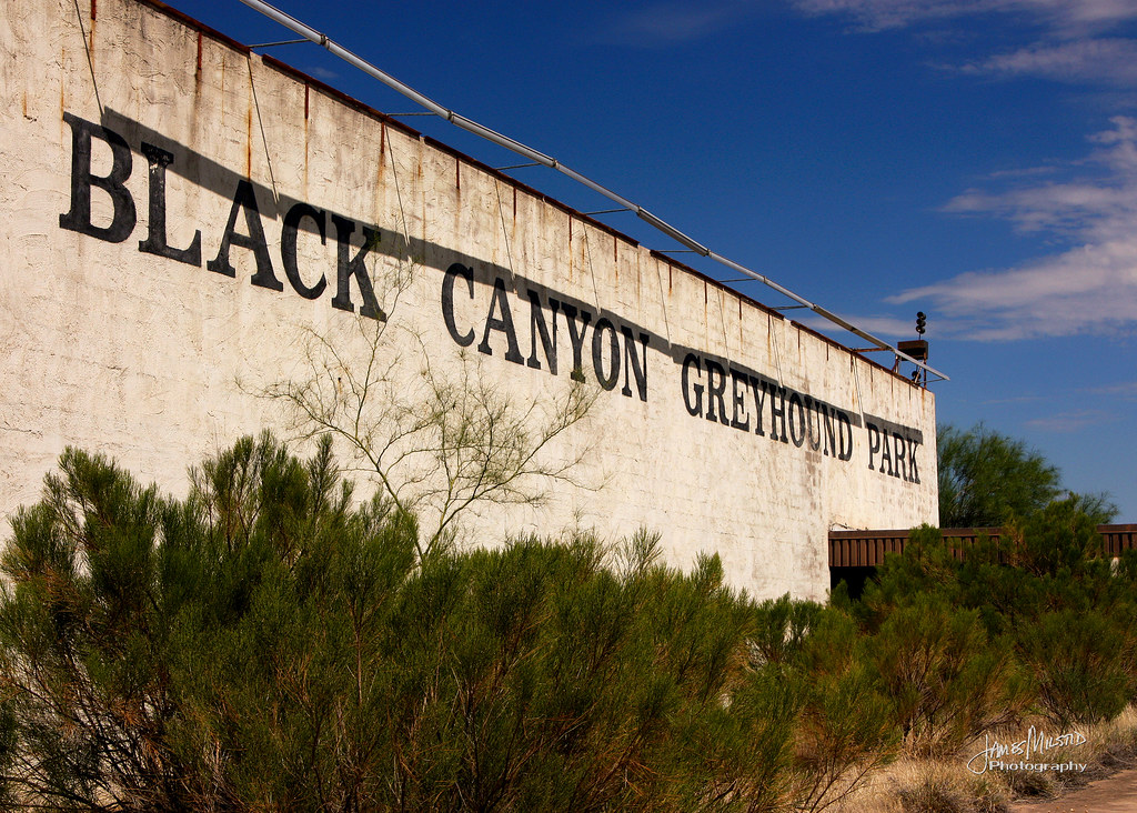 Black Canyon Greyhound Park Flickr