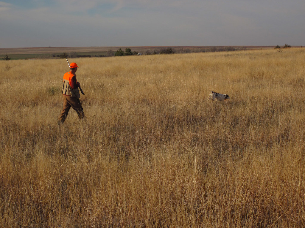 Kansas Field Hunting Kansas Tourism Flickr