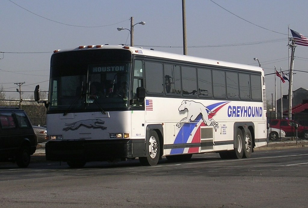 +28 Greyhound Bus In Houston